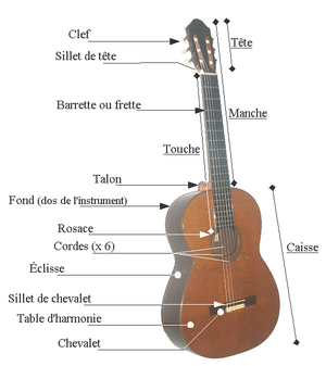 elements-contitutifs-presentation-guitare-acoustique.png