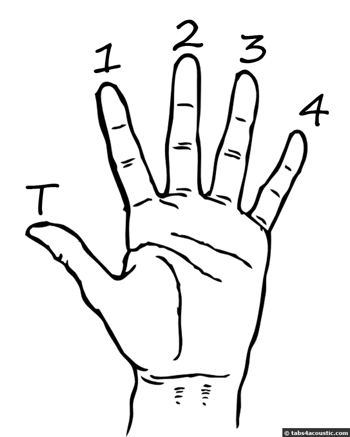 Hand diagram