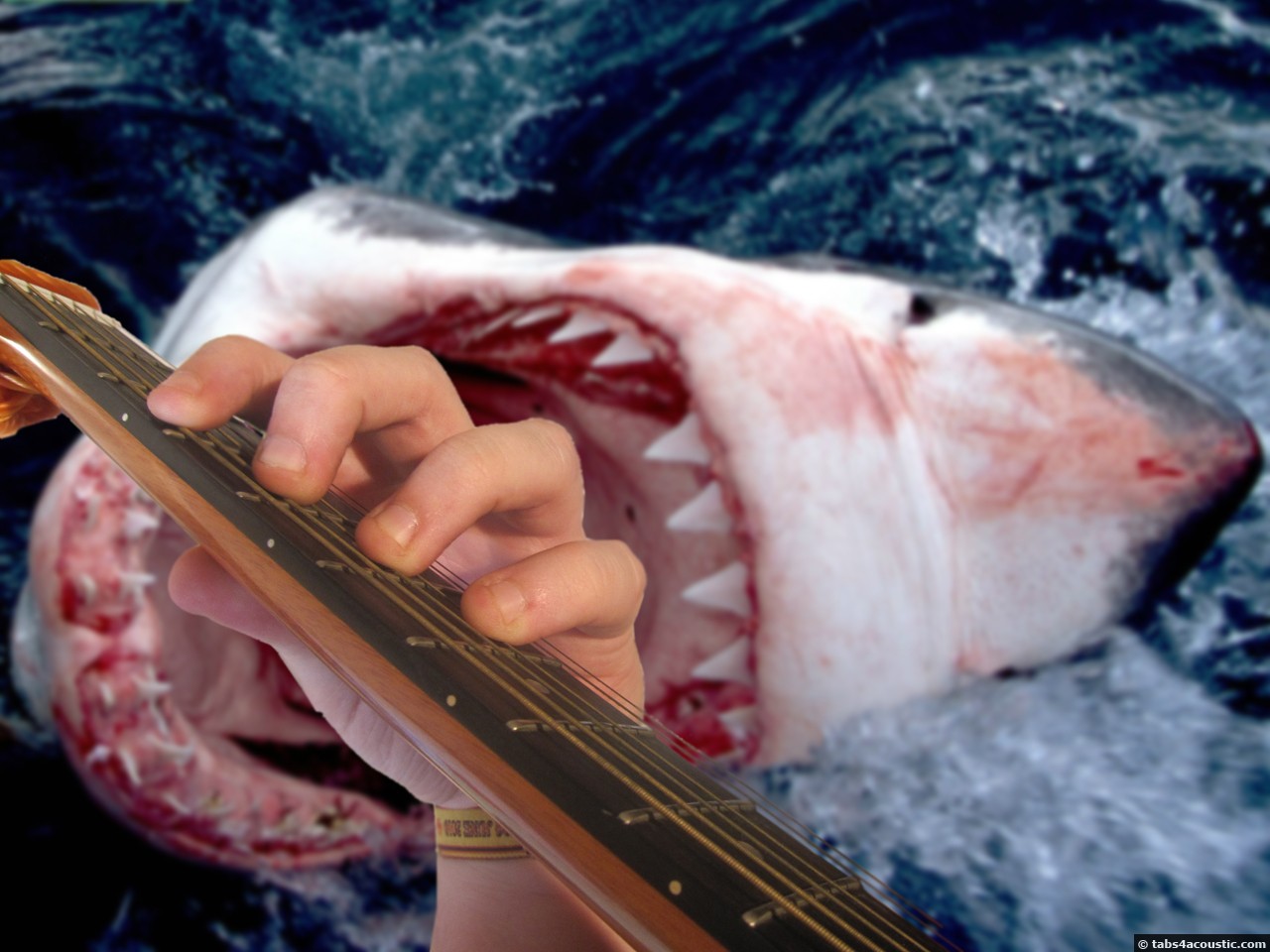 position main pour jouer un accord guitare
